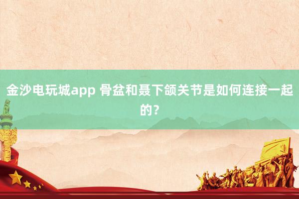 金沙電玩城app 骨盆和聶下頜關節(jié)是如何連接一起的?