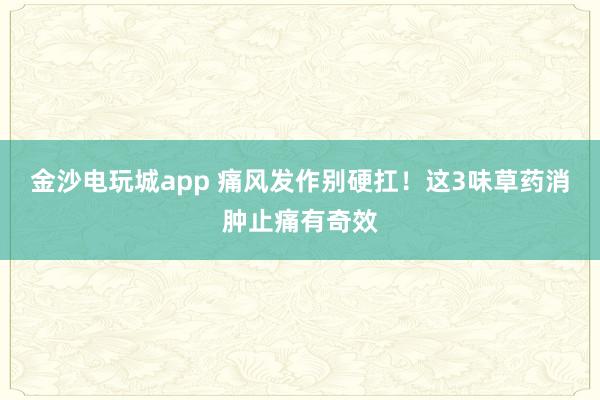 金沙電玩城app 痛風發(fā)作別硬扛!這3味草藥消腫止痛有奇效