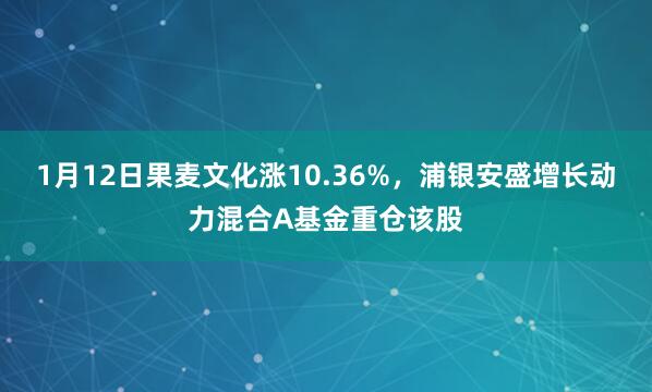 1月12日果麥文化漲10.36%,浦銀安盛增長(zhǎng)動(dòng)力混合A基金重倉(cāng)該股