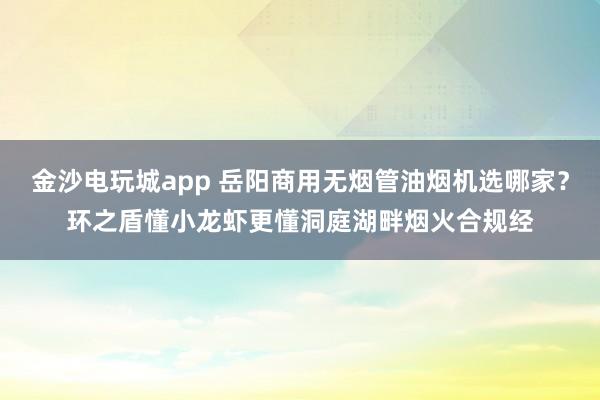金沙電玩城app 岳陽商用無煙管油煙機選哪家？環之盾懂小龍蝦更懂洞庭湖畔煙火合規經