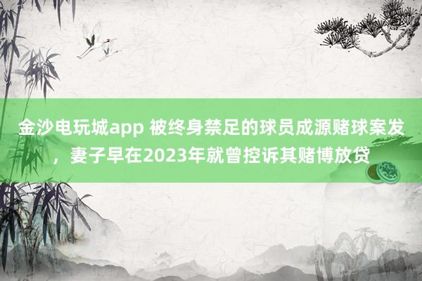 金沙電玩城app 被終身禁足的球員成源賭球案發(fā),妻子早在2023年就曾控訴其賭博放貸