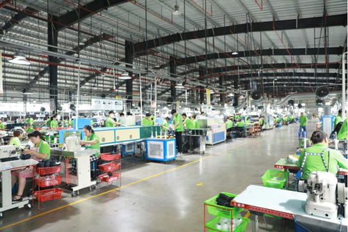 2023首屆河南 睢縣鞋博會將于10月21 23日舉行