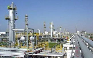 2017年中國石油化工行業(yè)十大標志性事件